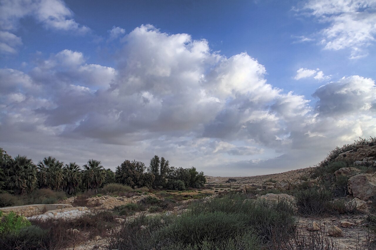 תמונת נוף של שדה עם שיחים, עצים דקליים, אבנים, שמיים כחולים עם עננים לבנים.
