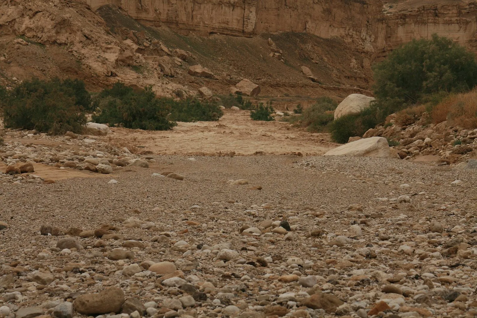 שיטפון בנחל צין. צילום ארכיון