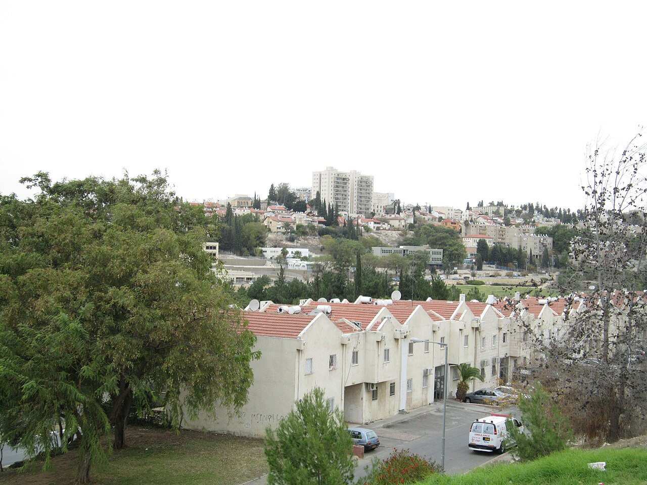 עשרים וחמישה בתים לבנים עם גג אדום, חלקם עם חניה, נמצאים ברקע תמונת נוף עירונית עם עצים.