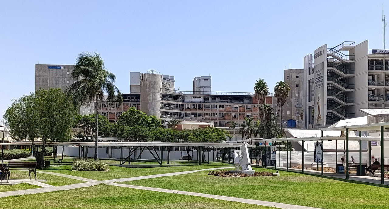 תמונת חדשות: גן עם דשא, עצים, פסל, ומבנים ברקע. טקסט חלופי לעיוורים: תמונת נוף עירוני עם גן, עצים, פסל, ומבנים גדולים ברקע.